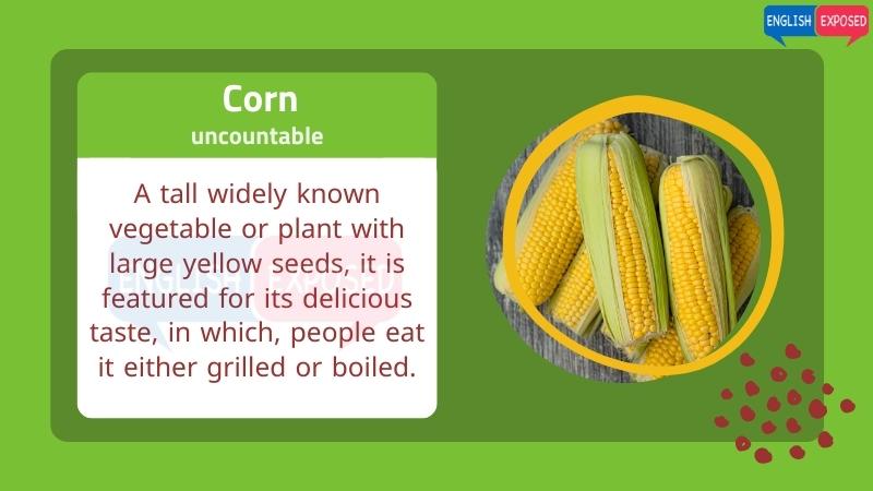 Corn-Food-List