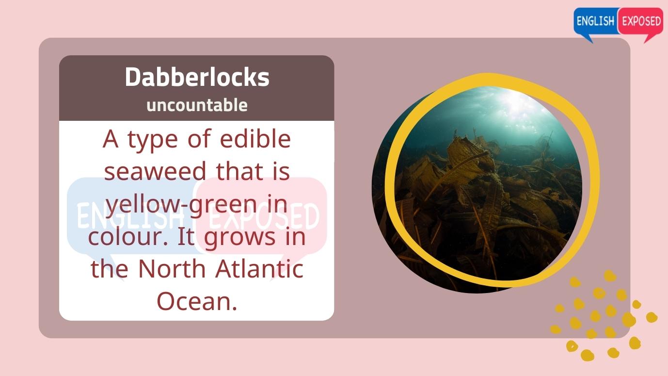 Dabberlocks-List-Of-Foods-That-Start-With-D