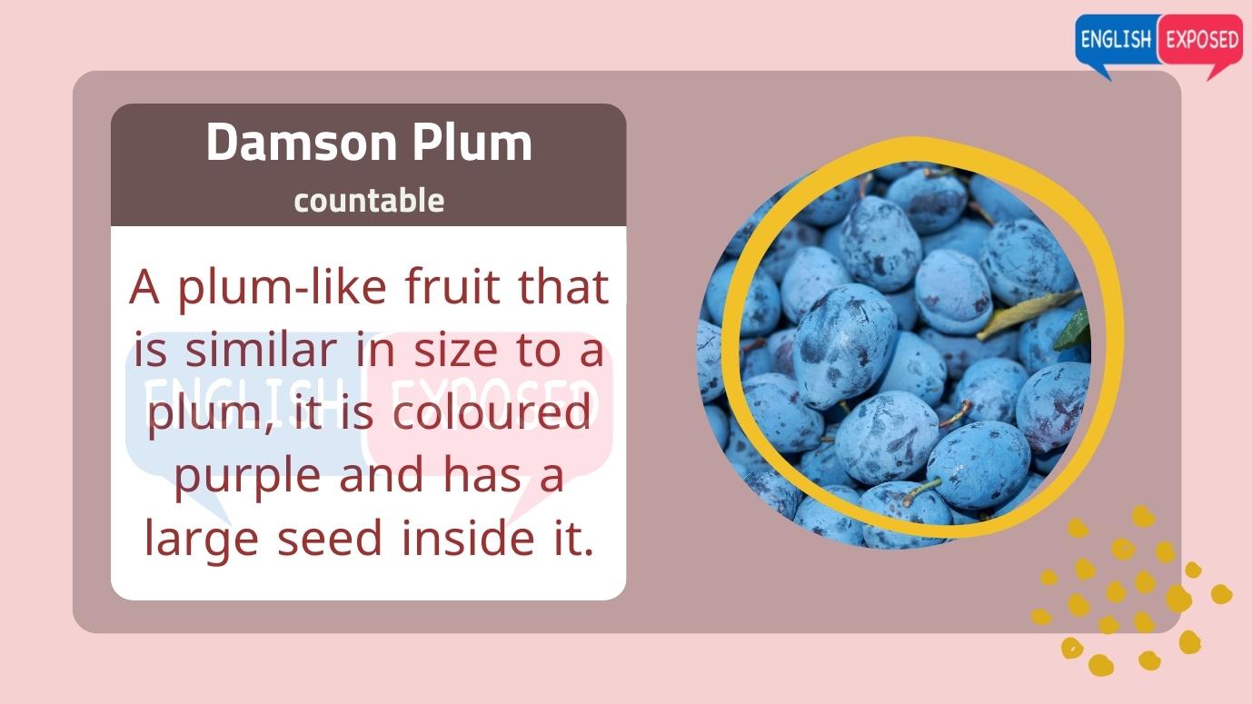 Damson-Plum-List-Of-Foods-That-Start-With-D-That-Start-With-D