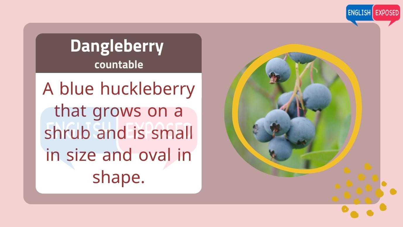 Dangleberry-List-Of-Foods-That-Start-With-D