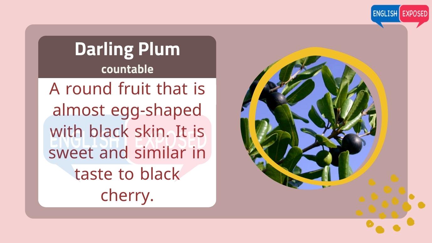 Darling-Plum-List-Of-Foods-That-Start-With-D