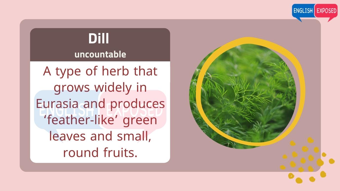 Dill-Foods-That-Start-With-D-list