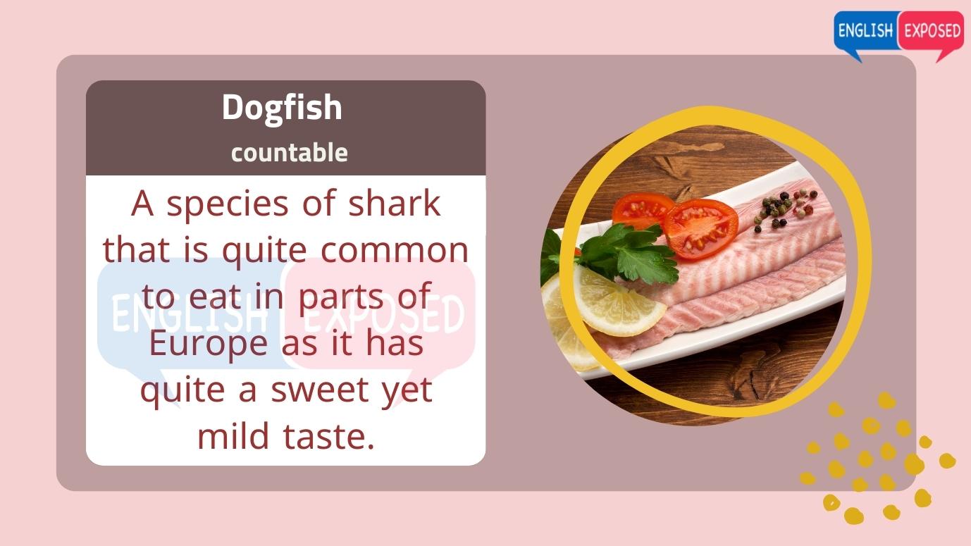 Dogfish-Foods-That-Start-With-D