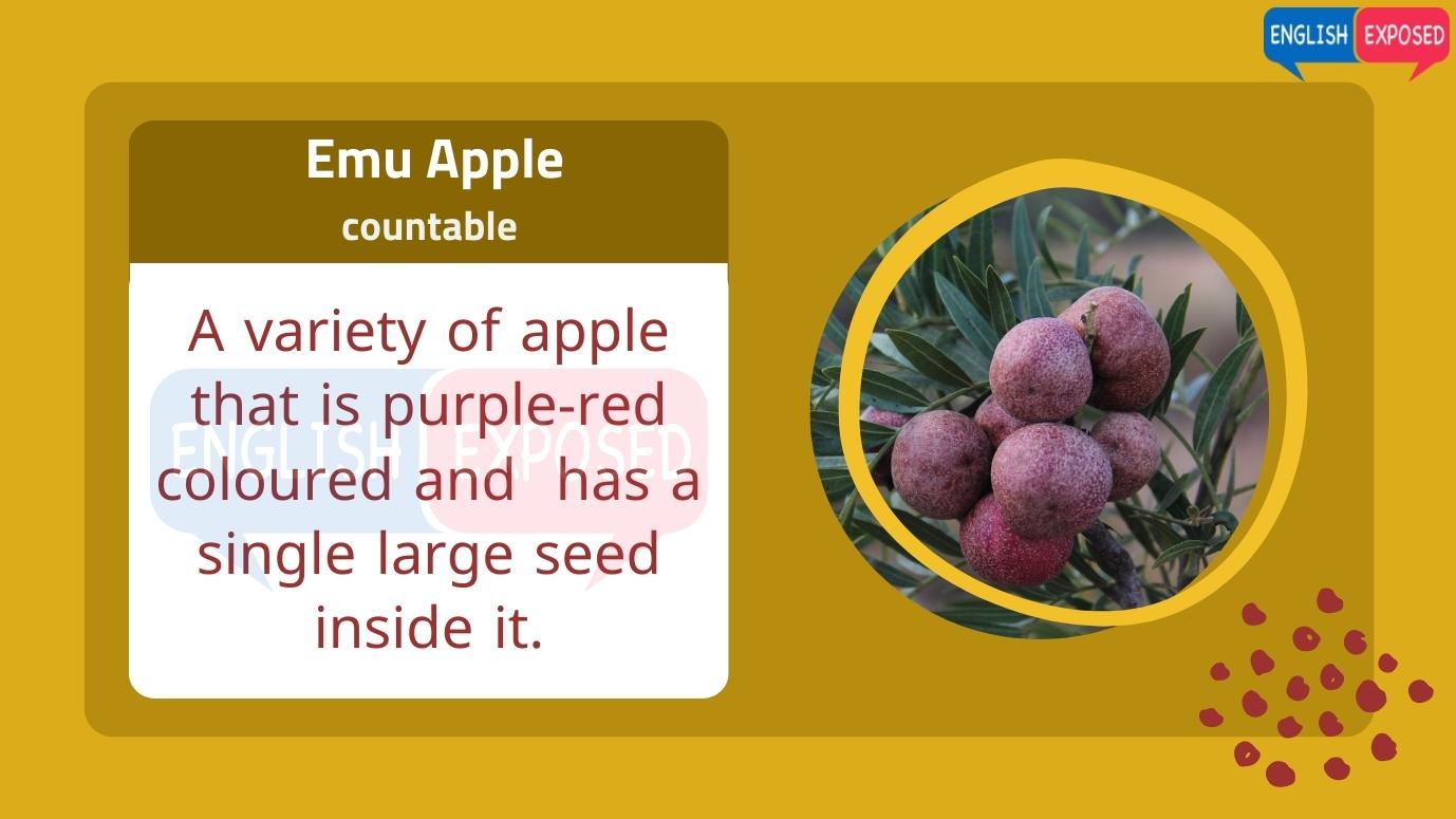 Emu-Apple-Foods-That-Start-With-E