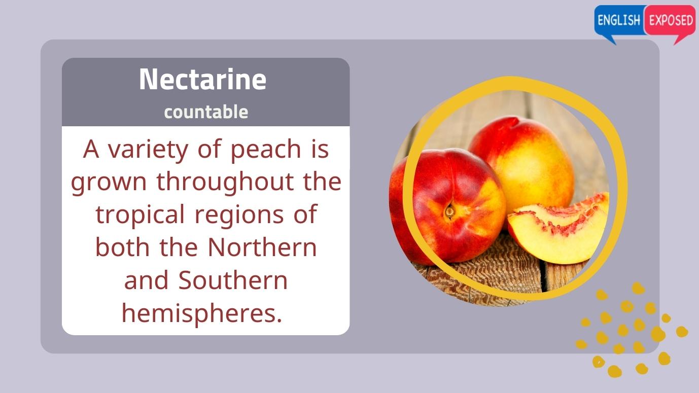 Nectarine-Food-List