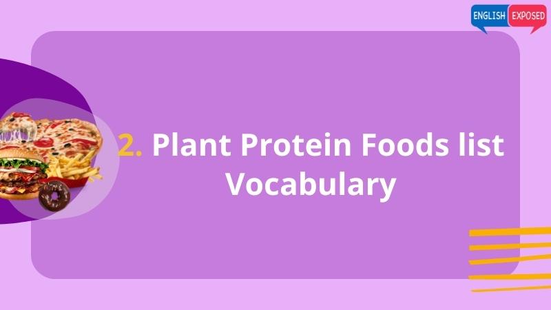 Plant-Protein-List-Of-Proteins-Foods