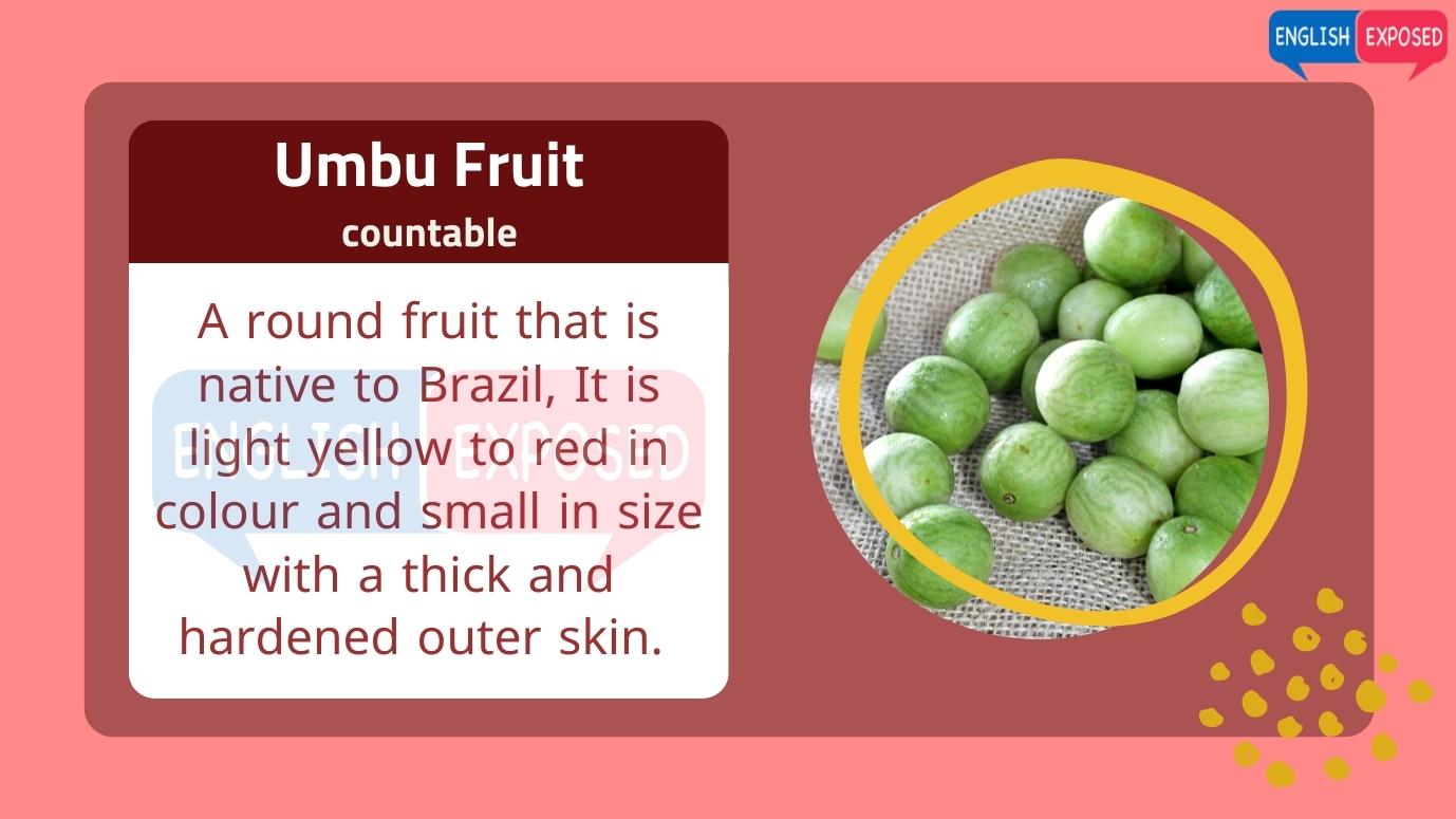 Umbu-Fruit-Foods-that-start-with-u