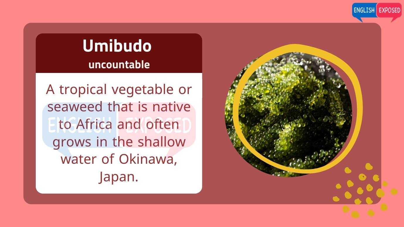 Umibudo-Foods-that-start-with-u