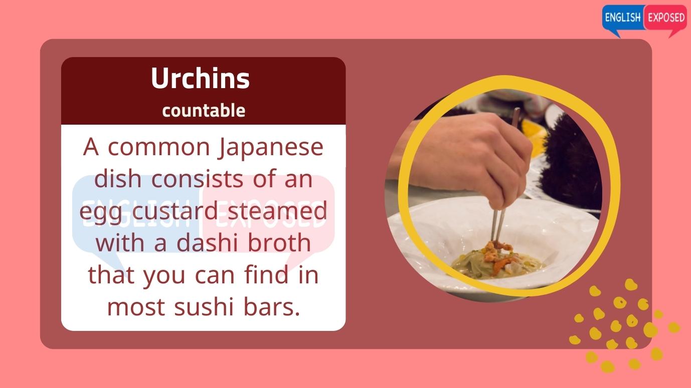 Urchins-Foods-that-start-with-u