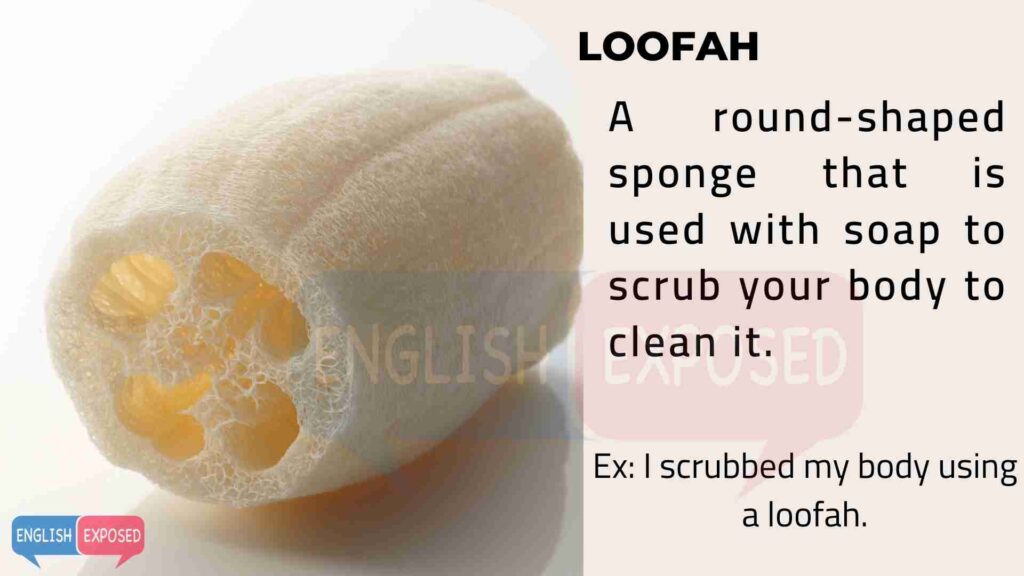 Loofah-House-Parts