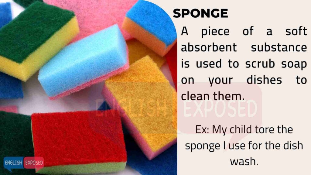 Sponge-House-Parts